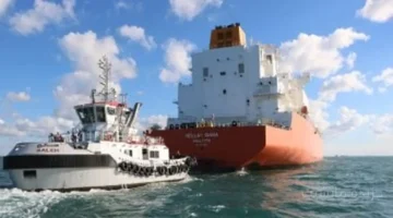 توسعة تيدا الصينية.. كيف تعيد مصر تشكيل خريطة التجارة العالمية بهذه الشراكة؟ 1